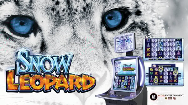 Snow Leopard Game Snow Leopard Game