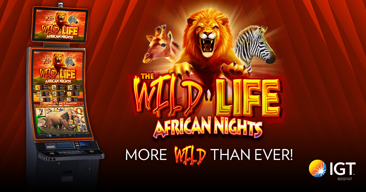 Wild Life African Nights